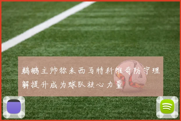 鹈鹕主帅称米西马特科维奇防守理解提升成为球队核心力量